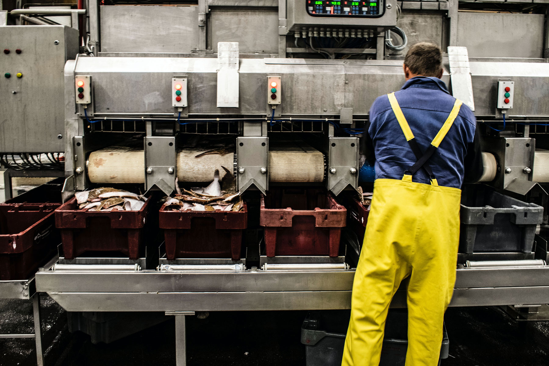 man working in manufacturing factory