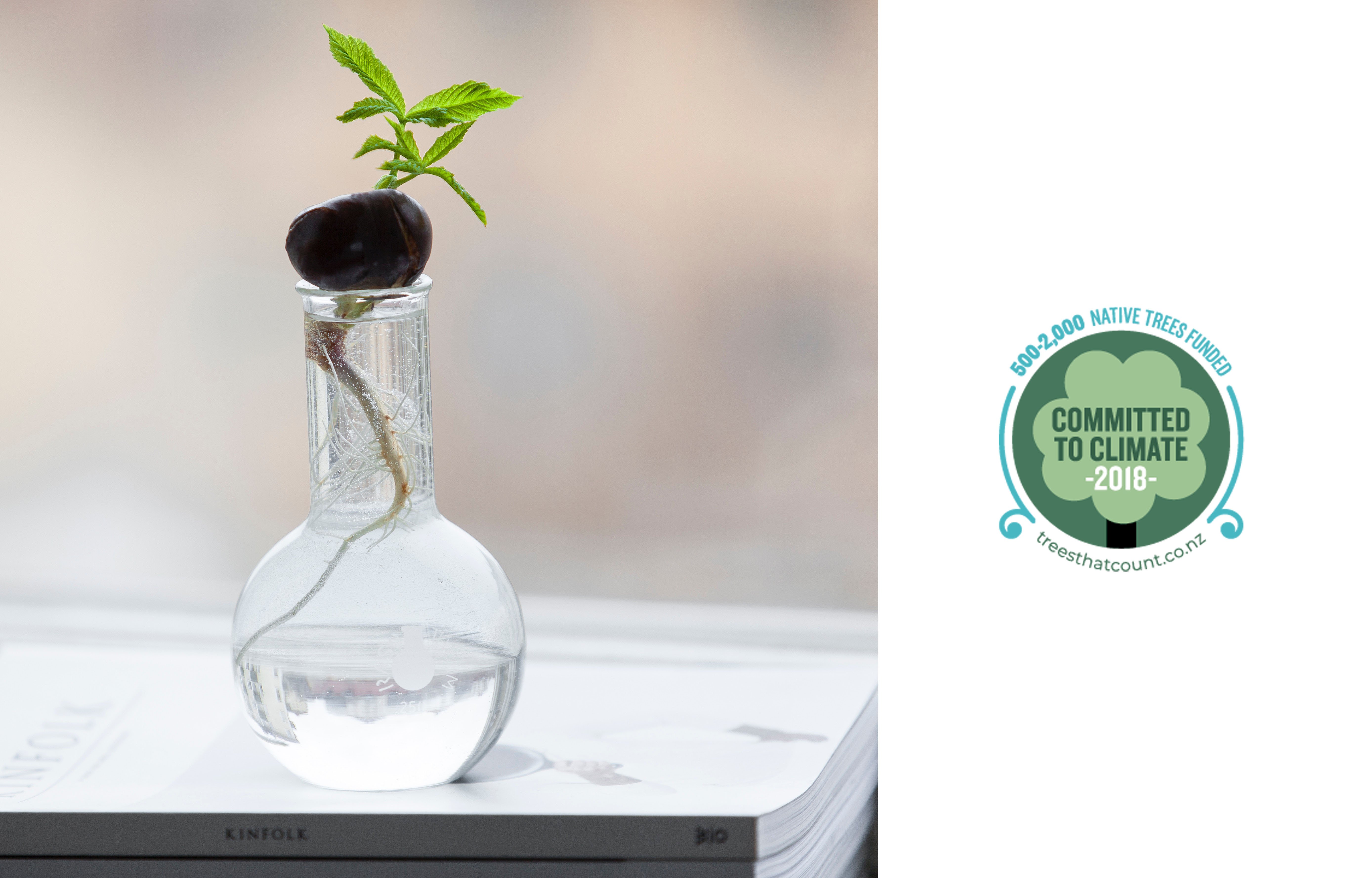 Committed to Climate with SwipedOn